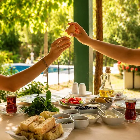 Hotel Doga